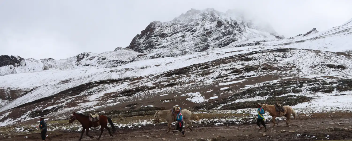 Arrieros  retornando de Vinicunca la Montaña de Colores